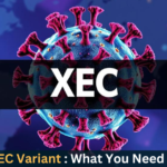 COVID XEC Variant: What You Need to Know – USA – 2024